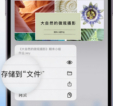 富平apple维修中心分享iPhone文件应用中存储和找到下载文件