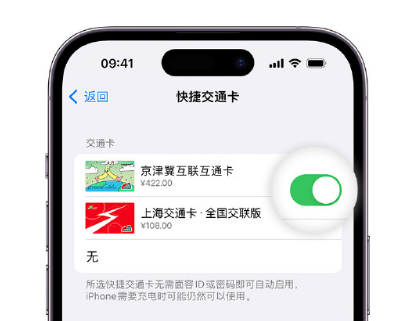 富平apple维修点分享iPhone上更换Apple Pay快捷交通卡手绘卡面 