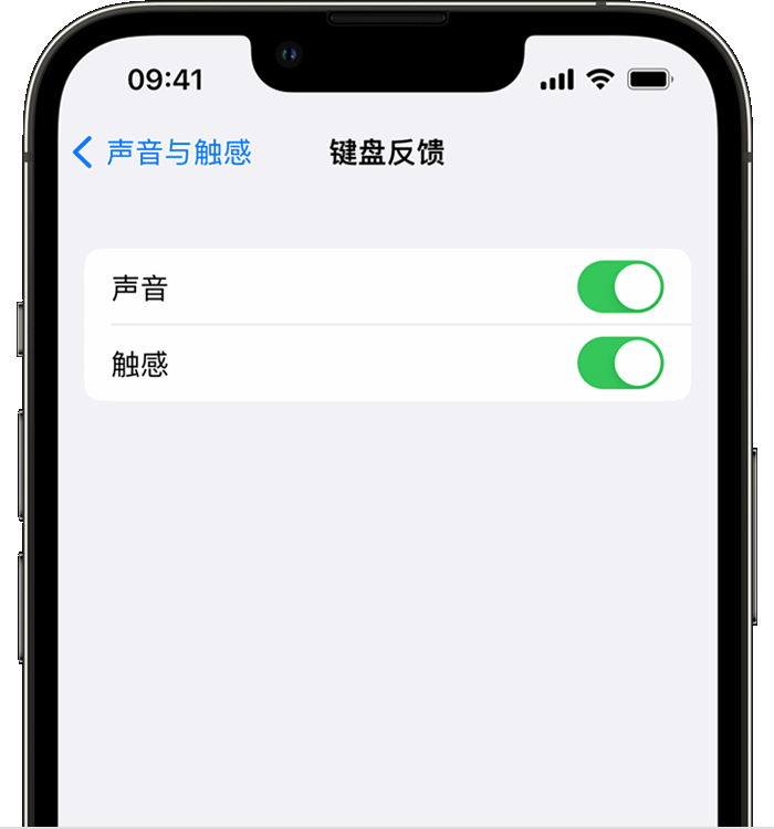 富平苹果14维修店分享如何在 iPhone 14 机型中使用触感键盘 