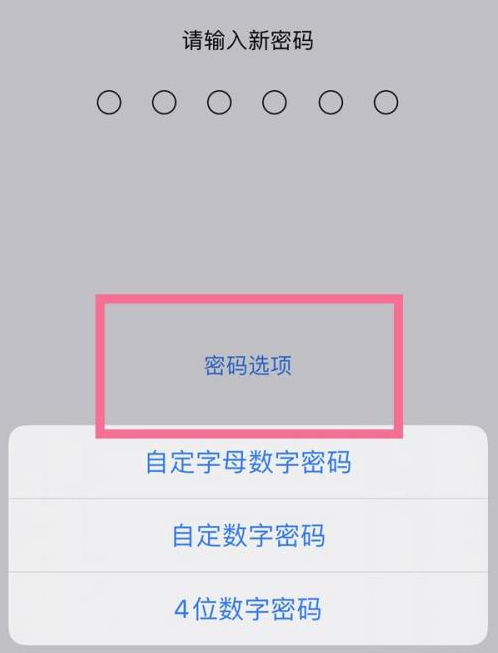 富平苹果14维修分享iPhone 14plus设置密码的方法 