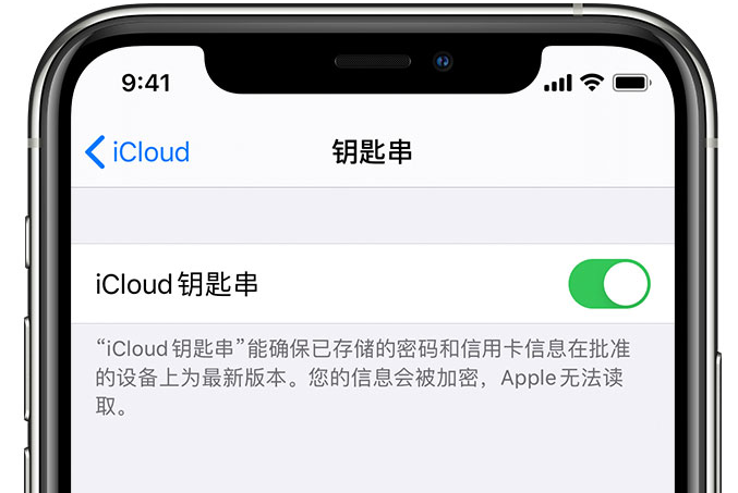 富平苹果手机维修分享在 iPhone 上开启 iCloud 钥匙串之后会储存哪些信息 