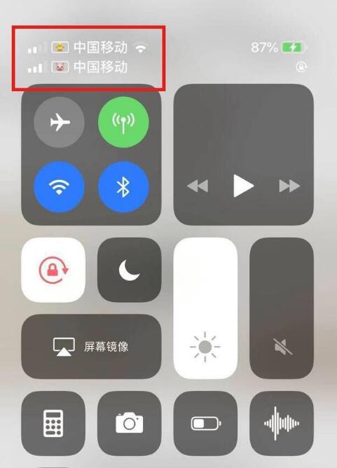 富平苹果手机维修分享为 iPhone 12 双卡设置标签 